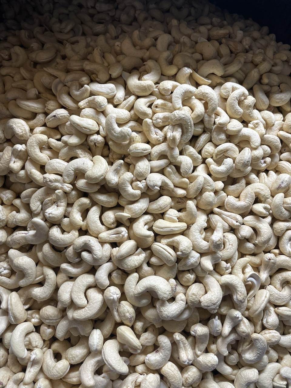 Cashew Kernels WW180